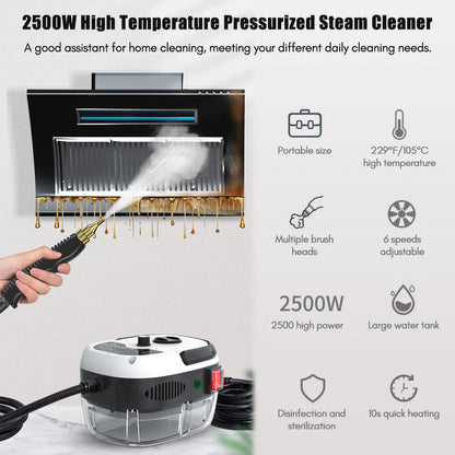 2500W Portable Handheld Steam Cleaner High Temperature Pressurized Steam Cleaning Machine with Brush Heads for Furniture Car