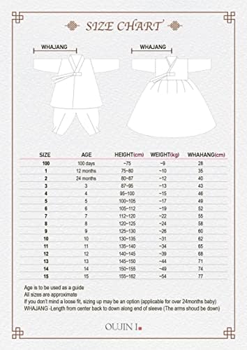 Stunning Modern Korean Hanbok Dress for Little Ones