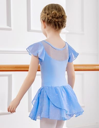 Zaclotre Girls Sparkle Ruffle Sleeve Ballet Leotard