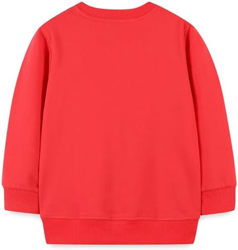 Hongshilian Cute Cartoon Kids Cotton Sweater