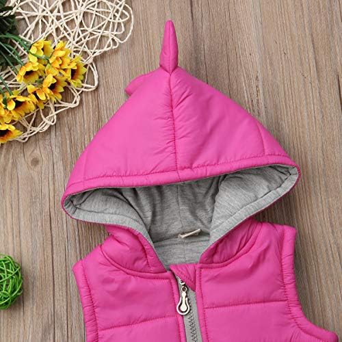 Exclusive Dinosaur Vest Jacket for Kids